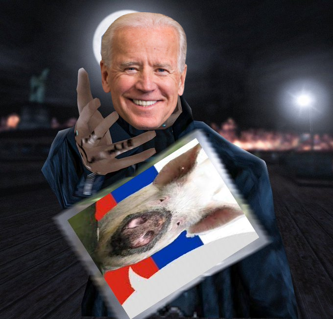 23803.png