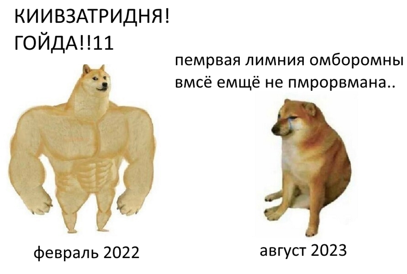 238886375.jpg
