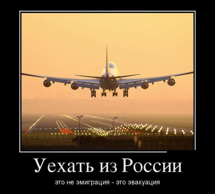 23899348.png