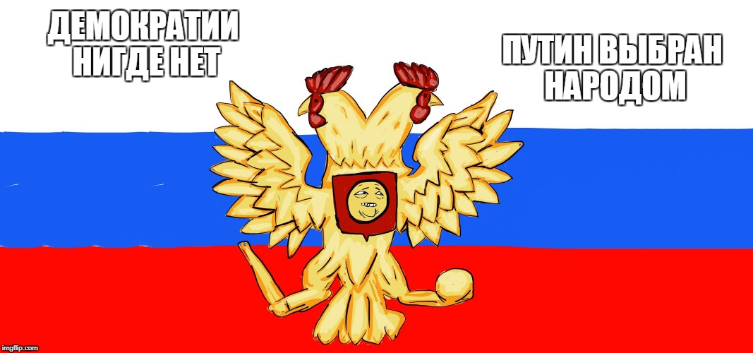 24126562.jpg