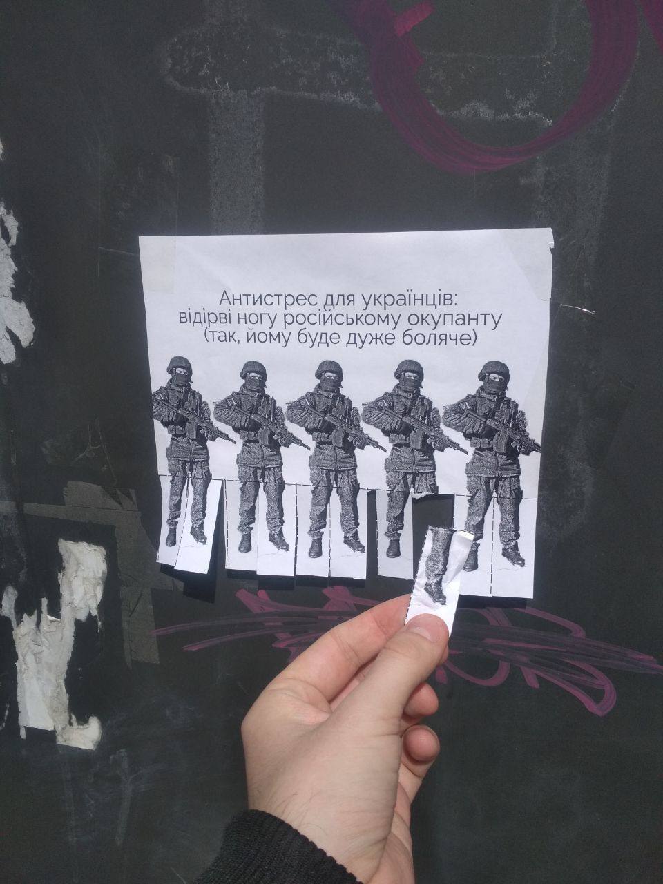 242684860.jpg