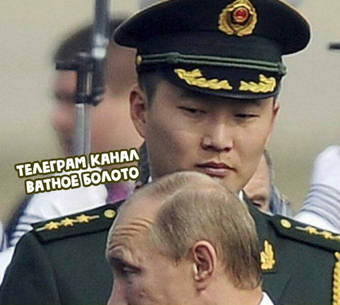 2548897.jpg