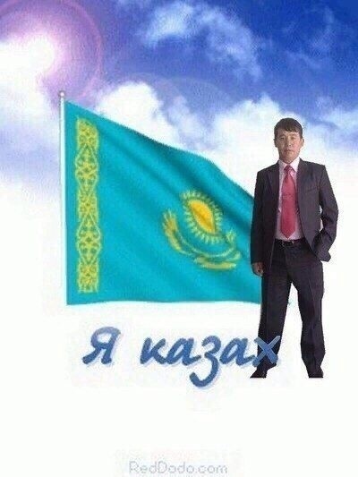 2626996.jpg