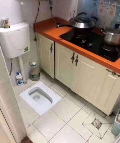 266543460.jpg