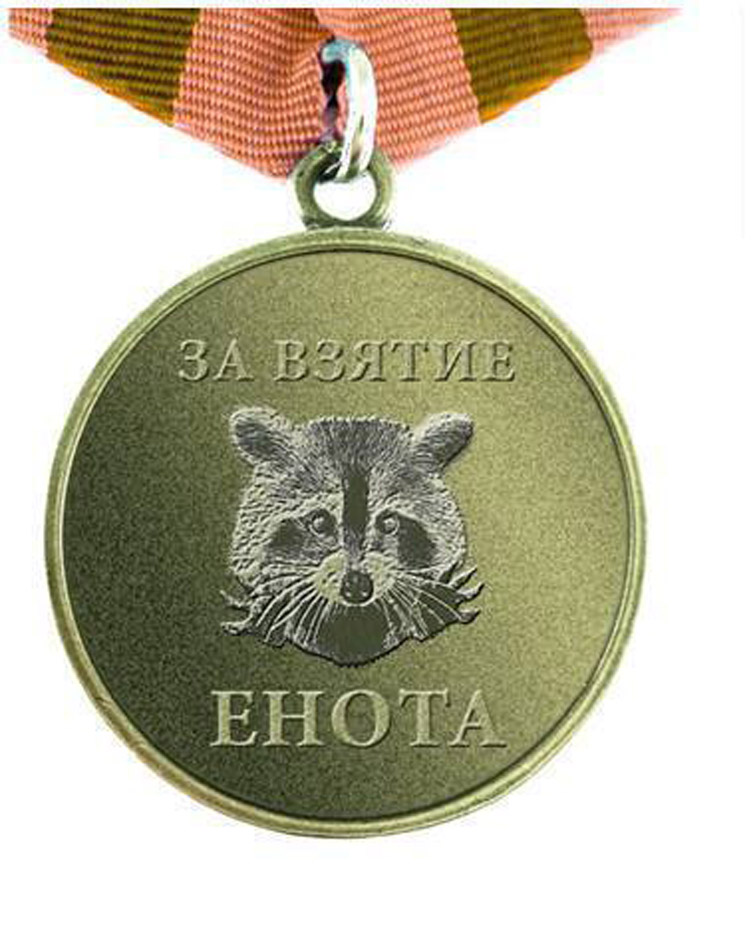2737824.jpg