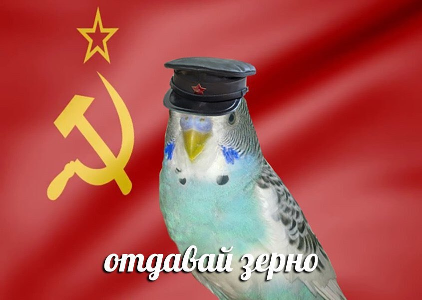 275614.png
