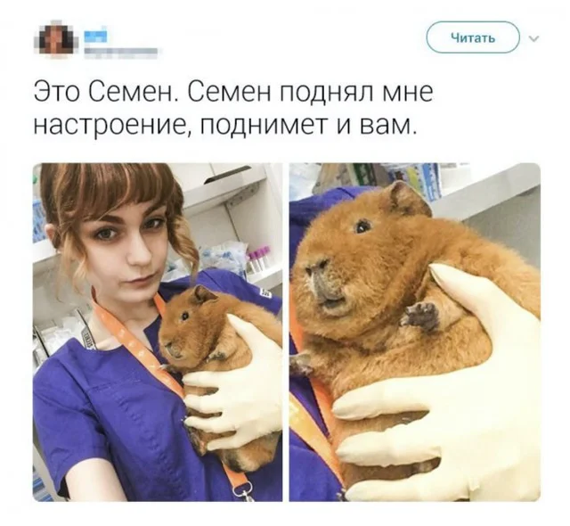 278683.png
