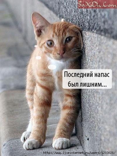 27.jpg