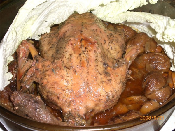 2839.jpg