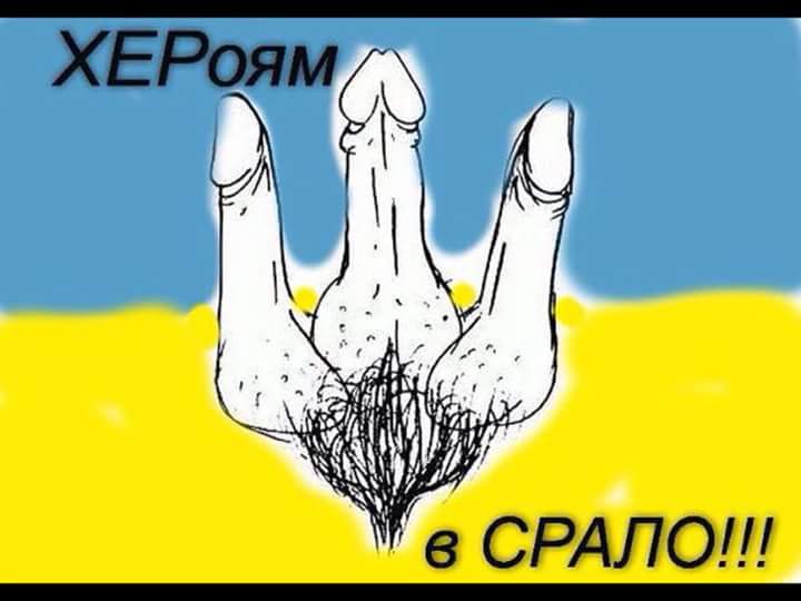 .jpg