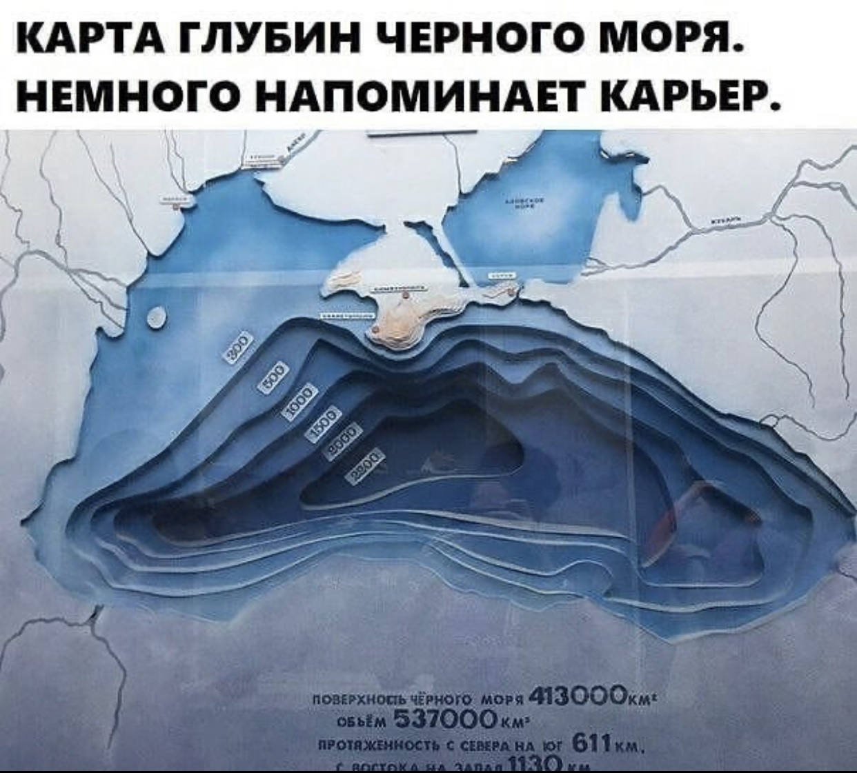 .jpg