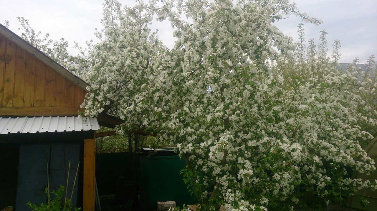 2gqt677uuSk.jpg