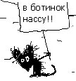 31031434.gif