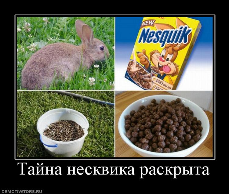 312848_tajna-neskvika-raskryita.jpg