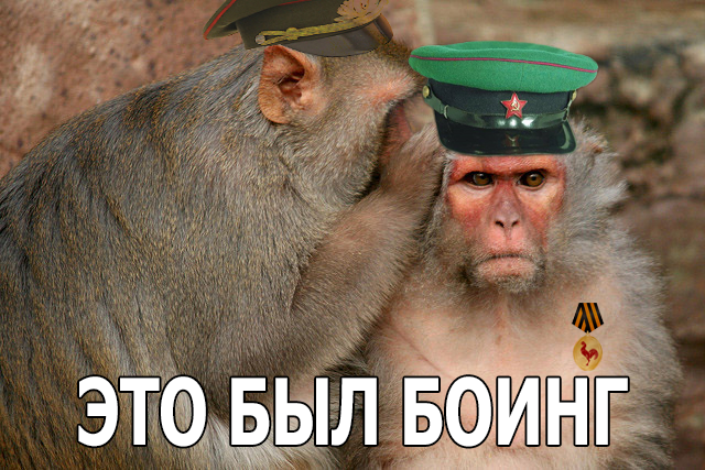 328464850.png