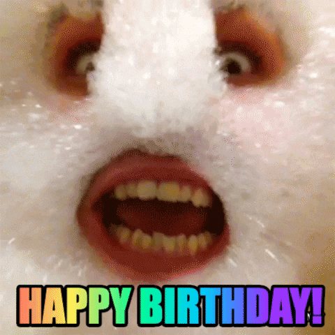 32giphy.gif