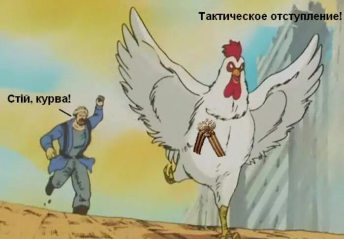 34688967.png