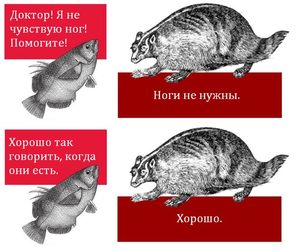 3474775456.jpg