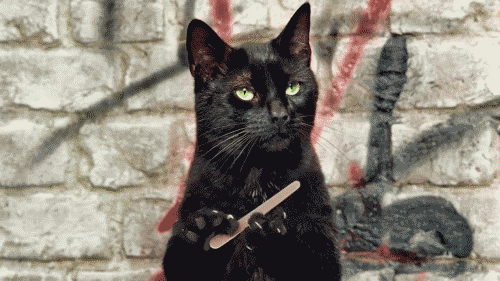 35127-023753-f885cff8735b90d58109079741ce676c.gif