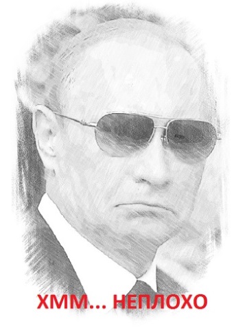 3629504.jpg