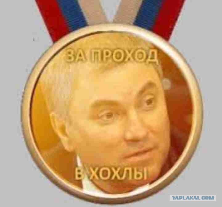 377304.jpg