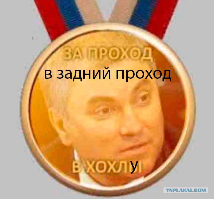 377304_672.jpg