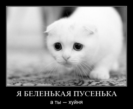 3782026_bf2a6ae0.jpg
