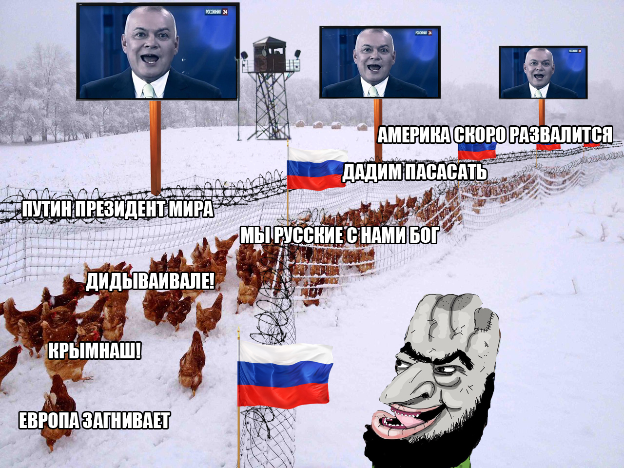 38368.jpg