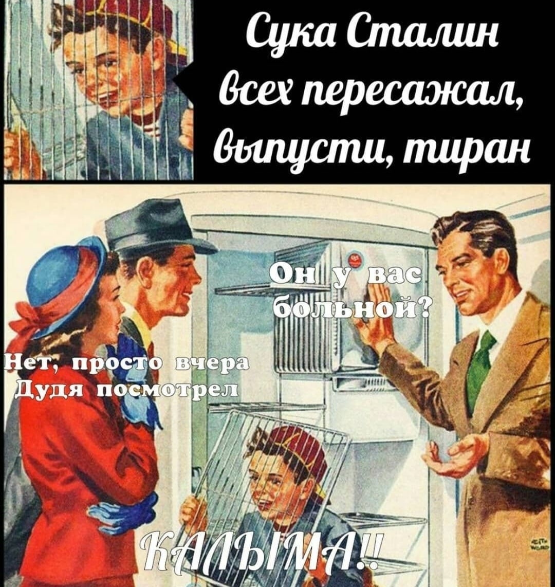 386550.jpg