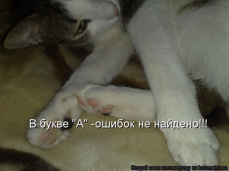0.jpg