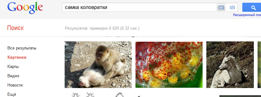 3b6492c413bf817a453a522540d5ed12.png
