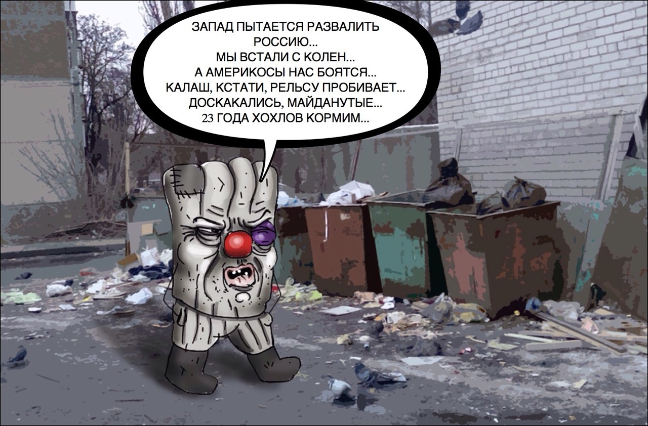 43137731.jpg