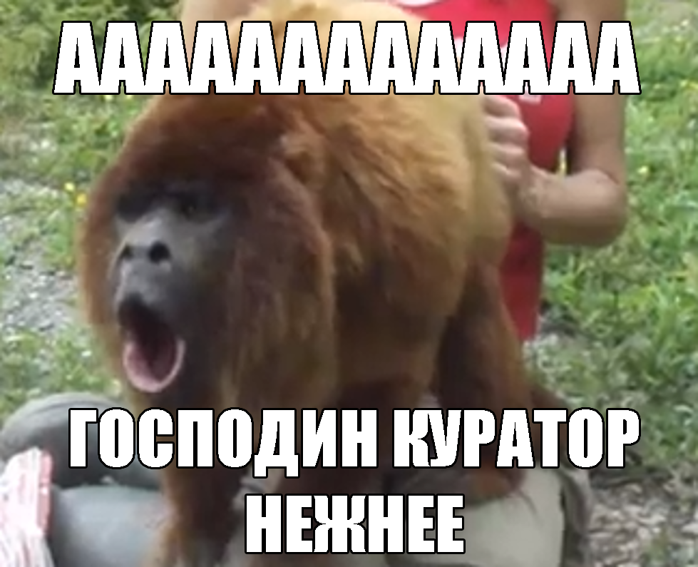 438895434560.png