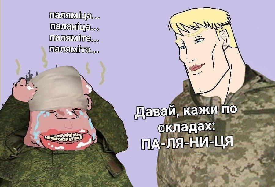 4599756.jpg