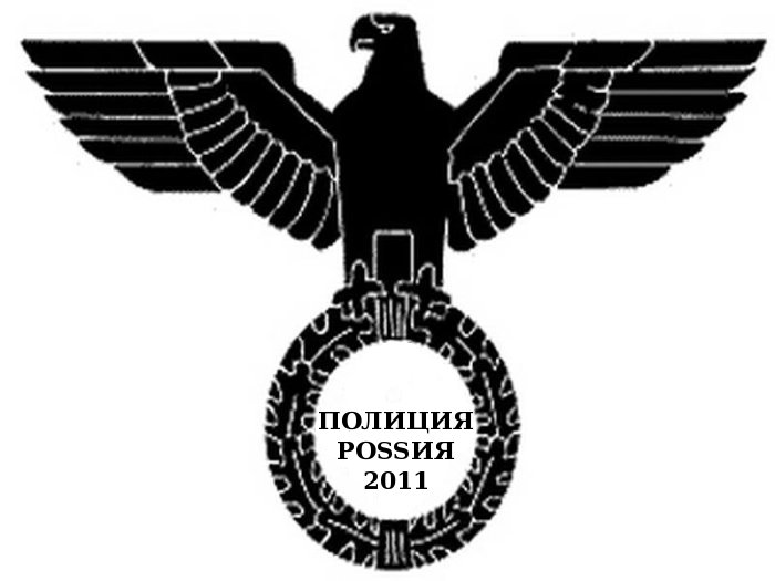 48331553.jpg