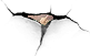 .png