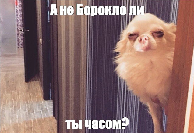 50603fe2919e3909d41a4df407a00126.jpg