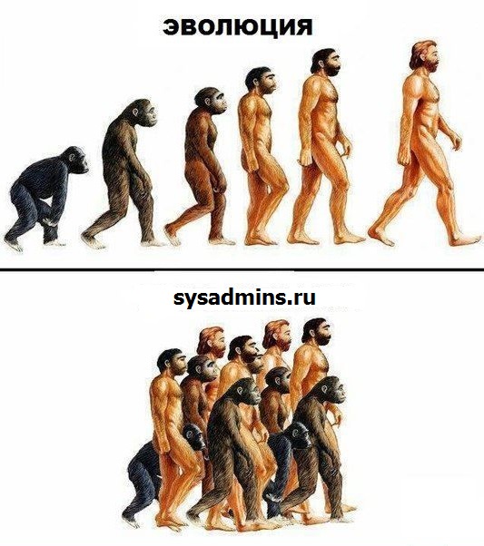 .jpeg