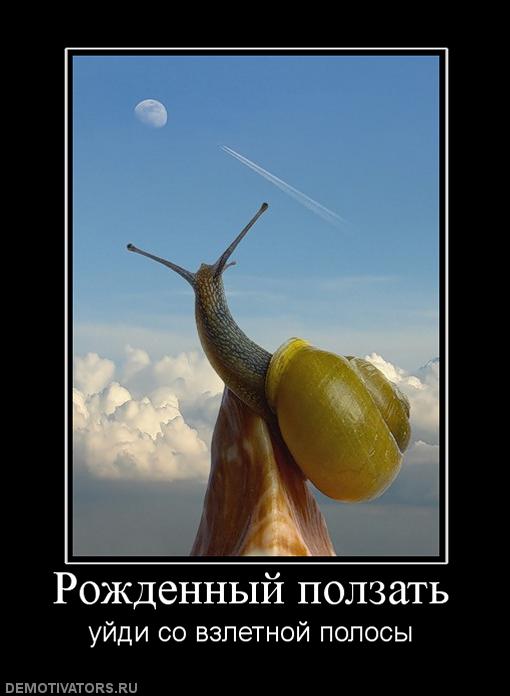 528887_rozhdennyij-polzat.jpg