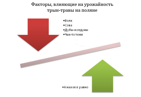 5377806dnn.jpg