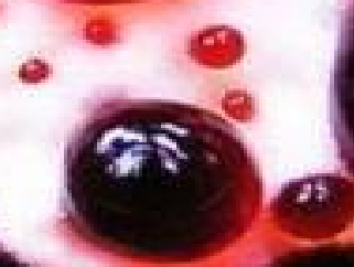 543.png