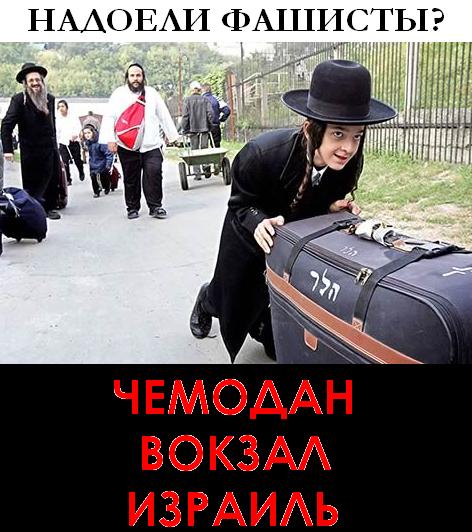 5caa67797f97.jpg