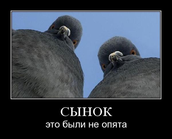 5RKzk53iK69BwVzJioiZb71c2ukQtr.jpg