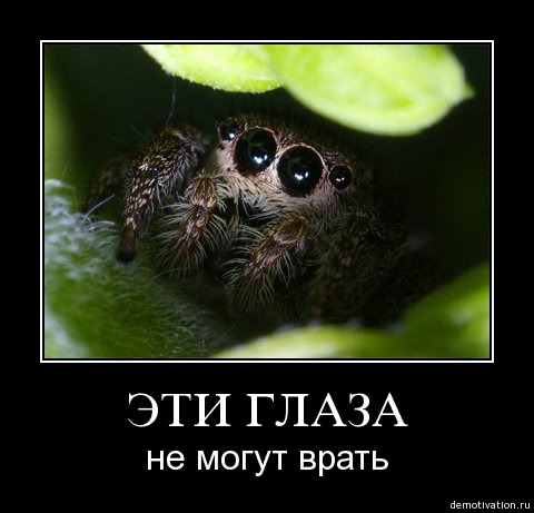 5u5u21zz16jb.jpg