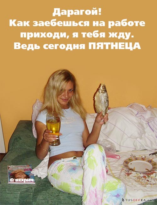 .jpg