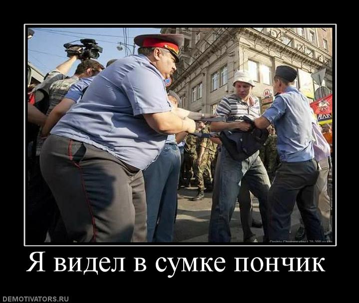 646477_ya-videl-v-sumke-ponchik.jpg