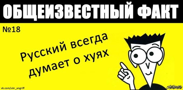 648086338.jpg