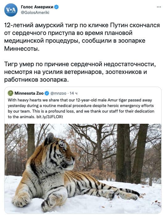 653498830.jpg