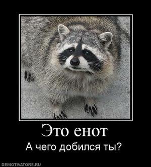 67045_eto-enot_thumbnail.jpg
