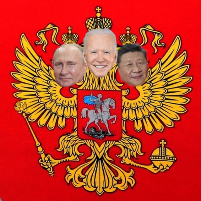 6737552.jpg